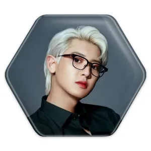 پیکسل شش ضلعی پارک چانیول گروه اکسو EXO
