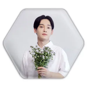 پیکسل شش ضلعی چن گروه اکسو EXO