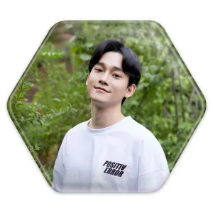 پیکسل شش ضلعی چن گروه اکسو EXO