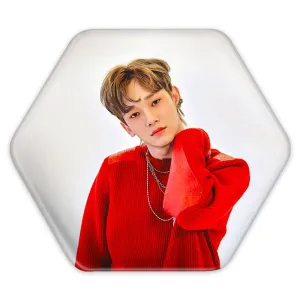 پیکسل شش ضلعی چن گروه اکسو EXO