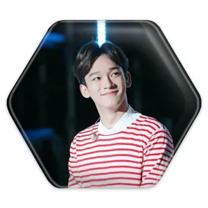 پیکسل شش ضلعی چن گروه اکسو EXO