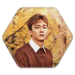 پیکسل شش ضلعی چن گروه اکسو EXO