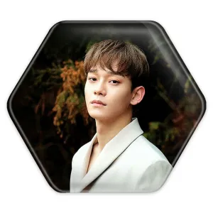 پیکسل شش ضلعی چن گروه اکسو EXO