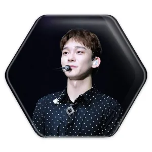 پیکسل شش ضلعی چن گروه اکسو EXO