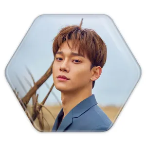 پیکسل شش ضلعی چن گروه اکسو EXO
