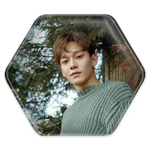 پیکسل شش ضلعی چن گروه اکسو EXO