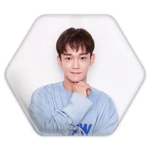 پیکسل شش ضلعی چن گروه اکسو EXO