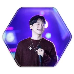 پیکسل شش ضلعی چن گروه اکسو EXO