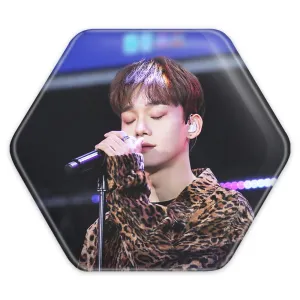 پیکسل شش ضلعی چن گروه اکسو EXO