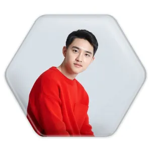 پیکسل شش ضلعی دی او گروه اکسو EXO