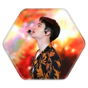 پیکسل شش ضلعی دی او گروه اکسو EXO