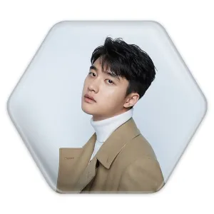 پیکسل شش ضلعی دی او گروه اکسو EXO