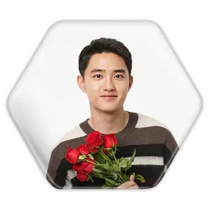 پیکسل شش ضلعی دی او گروه اکسو EXO