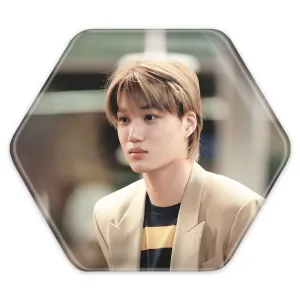 پیکسل شش ضلعی کای گروه اکسو EXO