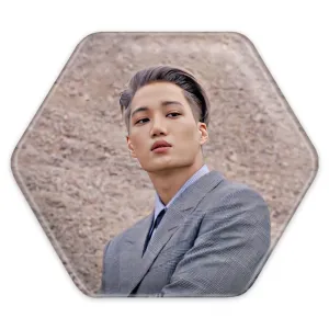 پیکسل شش ضلعی کای گروه اکسو EXO