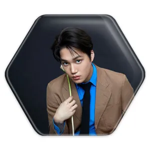 پیکسل شش ضلعی کای گروه اکسو EXO