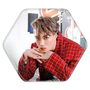 پیکسل شش ضلعی کای گروه اکسو EXO
