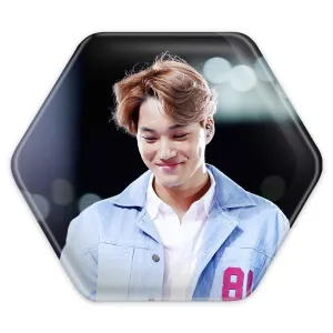 پیکسل شش ضلعی کای گروه اکسو EXO