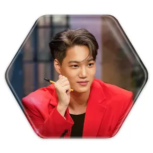 پیکسل شش ضلعی کای گروه اکسو EXO