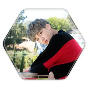 پیکسل شش ضلعی کای گروه اکسو EXO