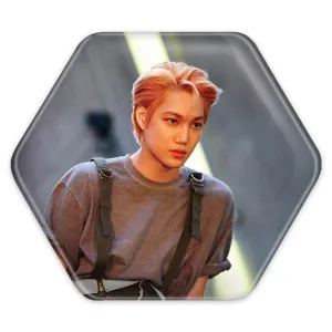 پیکسل شش ضلعی کای گروه اکسو EXO