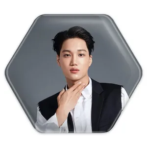 پیکسل شش ضلعی کای گروه اکسو EXO