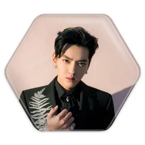 پیکسل شش ضلعی کریس وو گروه اکسو EXO