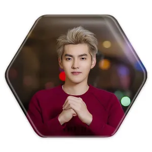 پیکسل شش ضلعی کریس وو گروه اکسو EXO