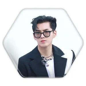 پیکسل شش ضلعی کریس وو گروه اکسو EXO