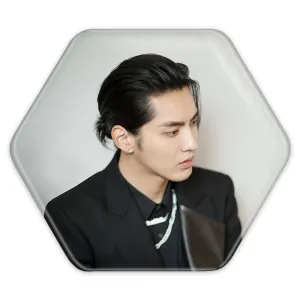 پیکسل شش ضلعی کریس وو گروه اکسو EXO