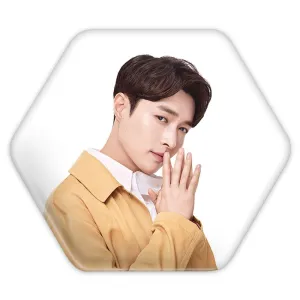 پیکسل شش ضلعی لی گروه اکسو EXO