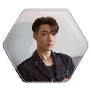 پیکسل شش ضلعی لی گروه اکسو EXO