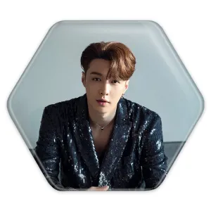 پیکسل شش ضلعی لی گروه اکسو EXO