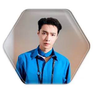 پیکسل شش ضلعی لی گروه اکسو EXO