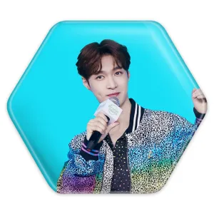 پیکسل شش ضلعی لی گروه اکسو EXO