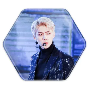پیکسل شش ضلعی سهون گروه اکسو EXO