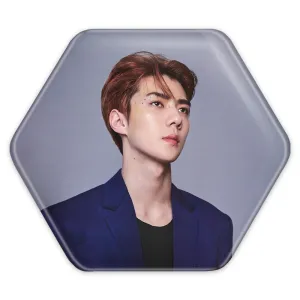 پیکسل شش ضلعی سهون گروه اکسو EXO