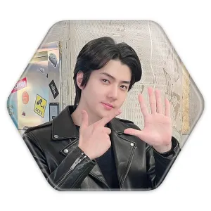 پیکسل شش ضلعی سهون گروه اکسو EXO