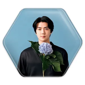 پیکسل شش ضلعی سهون گروه اکسو EXO
