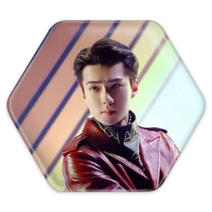 پیکسل شش ضلعی سهون گروه اکسو EXO