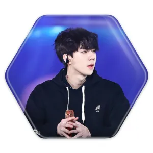 پیکسل شش ضلعی سهون گروه اکسو EXO