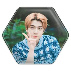 پیکسل شش ضلعی سهون گروه اکسو EXO
