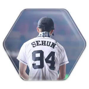 پیکسل شش ضلعی سهون گروه اکسو EXO