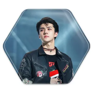 پیکسل شش ضلعی سهون گروه اکسو EXO