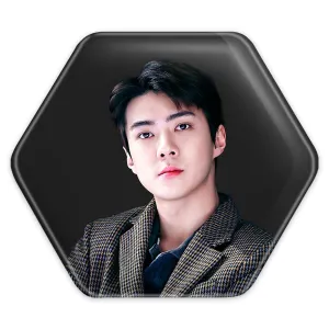 پیکسل شش ضلعی سهون گروه اکسو EXO