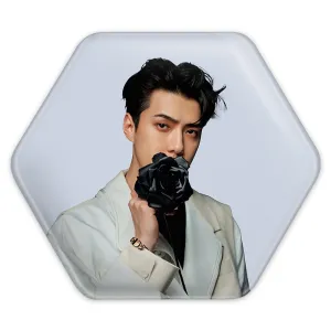 پیکسل شش ضلعی سهون گروه اکسو EXO