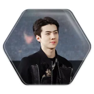 پیکسل شش ضلعی سهون گروه اکسو EXO