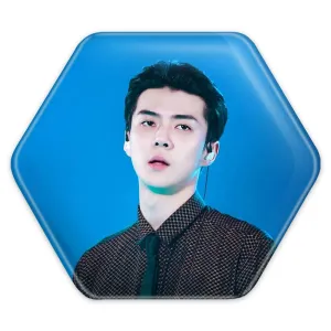 پیکسل شش ضلعی سهون گروه اکسو EXO