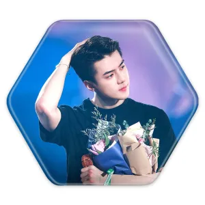 پیکسل شش ضلعی سهون گروه اکسو EXO