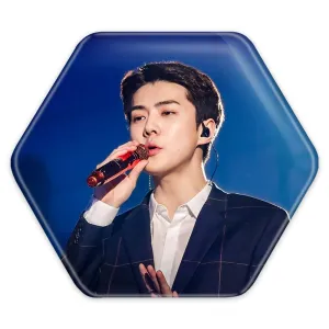 پیکسل شش ضلعی سهون گروه اکسو EXO